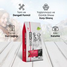 Dog Plus Düşük Tahıllı Hipoalerjenik Kuzu Etli Pirinçli Yetişkin Köpek Maması 3 kg x 2 Adet