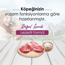 Dog Plus Düşük Tahıllı Hipoalerjenik Kuzu Etli Yüksek Enerjili Yetişkin Köpek Maması 15 kg