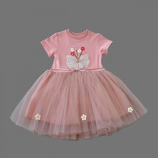 Diji Baby 1-2-3 Yaş Tül Fiyonk Çiçekler Nakışlı Astarlı Kız Bebek Tütü Elbisesi