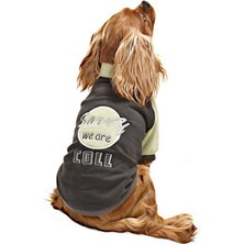 Petza Küçük ve Orta Irk Köpek Sweatshirt - Ramora - Köpek Kıyafeti