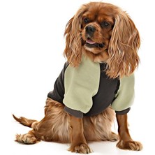 Petza Küçük ve Orta Irk Köpek Sweatshirt - Ramora - Köpek Kıyafeti