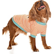 Petza Küçük ve Orta Irk Köpek Sweatshirt - Pabo - Köpek Kıyafeti