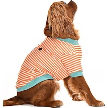 Petza Küçük ve Orta Irk Köpek Sweatshirt - Pabo - Köpek Kıyafeti