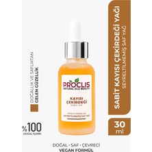 Proclis Kayısı Çekirdeği Yağı %100 Doğal Bitkisel Sabit Yağ, Apricot Kernel Oil, Prunus Armeniaca 30ML