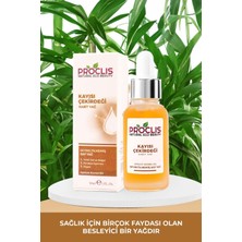 Proclis Kayısı Çekirdeği Yağı %100 Doğal Bitkisel Sabit Yağ, Apricot Kernel Oil, Prunus Armeniaca 30ML