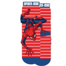 Çimpa PL21559 Spıderman Soket Çorap