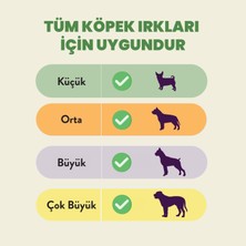 Kito Dana Kamış Çiğnemelik Köpek Ödül Maması %100 Doğal, Glutensiz, Organik 100 gr