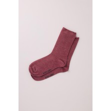 Katia & Bony Erkek Bordo Renkli Modal Soket Çorap