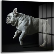 Glazella French Bulldog Cam Tablo