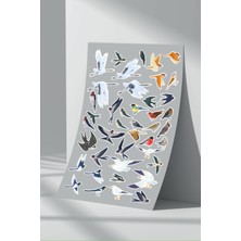 Stickermarket Kuş Sticker Seti (1)