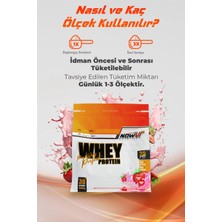 Nowup Nutrition Nowup Nutrition Whey Protein / Strawberry Milkshake 1050 gr