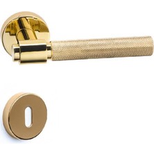 System Axes-T Rozetli Kapı Kolu Altın Renk Oda