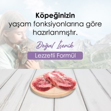 Bonnie Kuzulu ve Pirinçli Yavru Köpek Maması 2.5 kg x 2