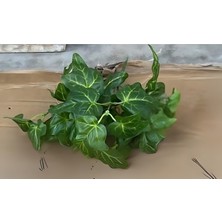 Konak 7 Dallı Yapraklı Yeşillik Demet (Mini Bodur) K.yeşil (Yapay Çiçektir)