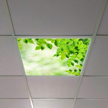 Gök Panel 60X60 LED Panel Aydınlatma Armatür Avize Sıva Altı Desenli Tekli 46510406SA