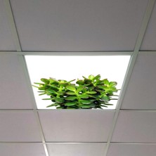 Gök Panel 60X60 LED Panel Aydınlatma Armatür Avize Sıva Altı Desenli Tekli 46510368SA