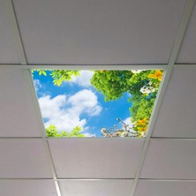 Gök Panel 60X60 LED Panel Aydınlatma Armatür Avize Sıva Altı Desenli Tekli 46510429SA