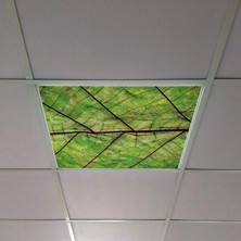 Gök Panel 60X60 LED Panel Aydınlatma Armatür Avize Sıva Altı Desenli Tekli 46510352SA