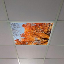 Gök Panel 60X60 LED Panel Aydınlatma Armatür Avize Sıva Altı Desenli Tekli 46510478SA