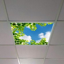 Gök Panel 60X60 LED Panel Aydınlatma Armatür Avize Sıva Altı Desenli Tekli 46510386SA