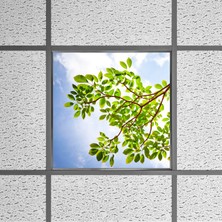 Gök Panel 60X60 LED Panel Aydınlatma Armatür Avize Sıva Altı Desenli Tekli 46510501SA