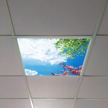 Gök Panel 60X60 LED Panel Aydınlatma Armatür Avize Sıva Altı Desenli Tekli 46510422SA