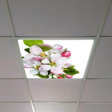 Gök Panel 60X60 LED Panel Aydınlatma Armatür Avize Sıva Altı Desenli Tekli 46510363SA