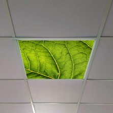 Gök Panel 60X60 LED Panel Aydınlatma Armatür Avize Sıva Altı Desenli Tekli 46510354SA