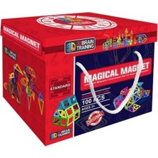 Başel Toys Magical Magnet 100 Parça