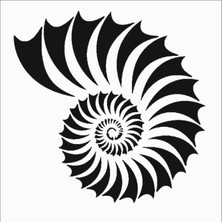 Stencil Sarayi Boyama Şablon Deniz - 8356