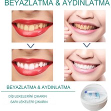 Xolo Diş Beyazlatma Tozu Aktif Karbon 50 gr Tooth Powder 5 Days Usa