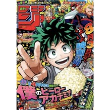 Jeronkarji Bnha Dergisi #4 Tablo Ahşap Poster Dekoratif
