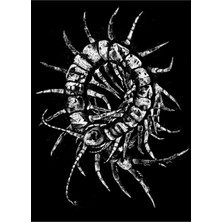 Jeronkarji Çevrelerde Gezinme Tablo Ahşap Poster Dekoratif