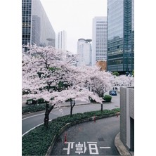 Jeronkarji Tokyo Tablo Ahşap Poster Dekoratif