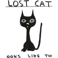 Jeronkarji Kayıp Kedi Davids Bu Tablo Ahşap Poster Dekoratifna Benziyor