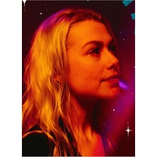 Jeronkarji Phoebe Bridgers Tablo Ahşap Poster Dekoratif