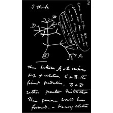 Jeronkarji Darwin'in Hayat Ağacı Kroki (2) Tablo Ahşap Poster Dekoratif