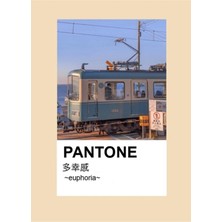 Jeronkarji Pantone Estetiği Anime Japon Şehri Tokyo Tablo Ahşap Poster Dekoratif