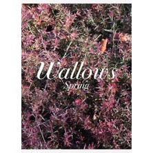 Jeronkarji Wallows Spring Tablo Ahşap Poster Dekoratif