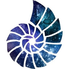 Jeronkarji Ammonit Tablo Ahşap Poster Dekoratif