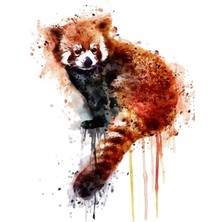 Jeronkarji Red Panda Tablo Ahşap Poster Dekoratif
