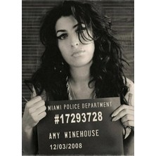 Jeronkarji Miami Polis Departmanı Winehouse Poster Tablo Ahşap Poster Dekoratif