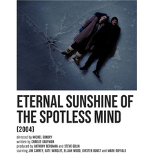 Jeronkarji Eternal Sunshıne Of The Spotless Mınd Ice Poster Tablo Ahşap Poster Dekoratif