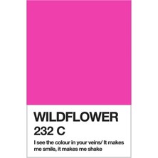 Jeronkarji Wildflower Pantone Renk Örneği Tablo Ahşap Poster Dekoratif