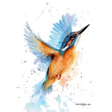 Jeronkarji Kingfisher Suluboya Tablo Ahşap Poster Dekoratif