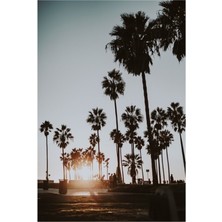 Jeronkarji Palmiye Ağaçları Vi / Venedik Plajı, California Tablo Ahşap Poster Dekoratif