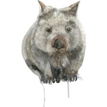 Jeronkarji Ortak Wombat Tablo Ahşap Poster Dekoratif