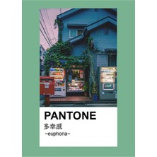 Jeronkarji Pantone Estetiğinin Kopyası Anime Japon Gün Batımı Tablo Ahşap Poster Dekoratif KOD98