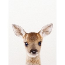 Jeronkarji Bebek Geyik, Bebek Hayvanlar Sanatsal Baskı Synplus Tablo Ahşap Poster Dekoratif