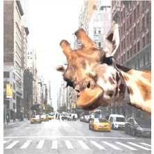 Jeronkarji New York Tablo Ahşap Poster Dekoratifnda Selfie Zürafa